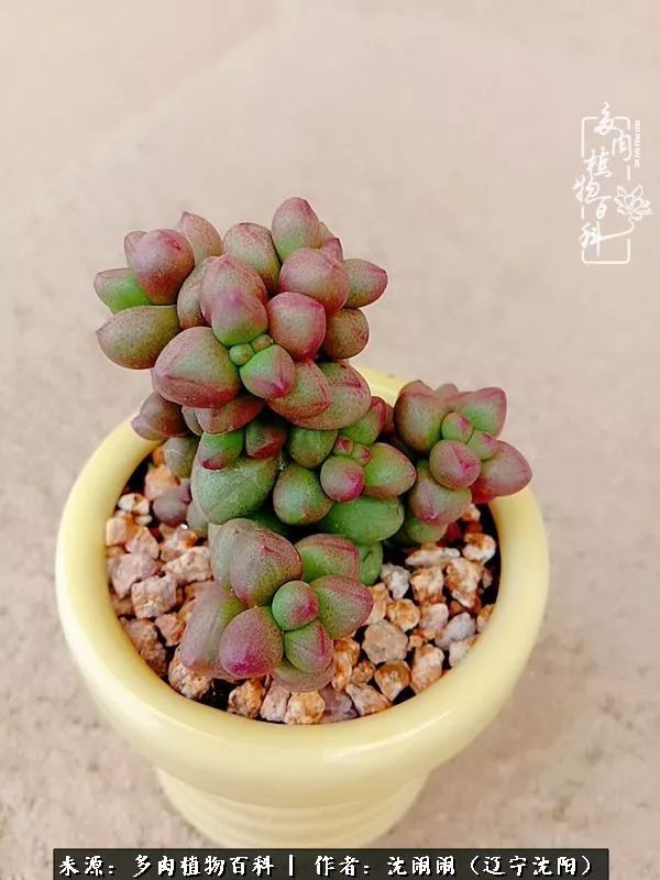 心若向阳无惧晴天,心若向阳不畏风雨