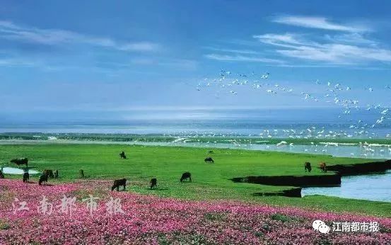 江西上饶入选百强市,上饶市国家级试点名单