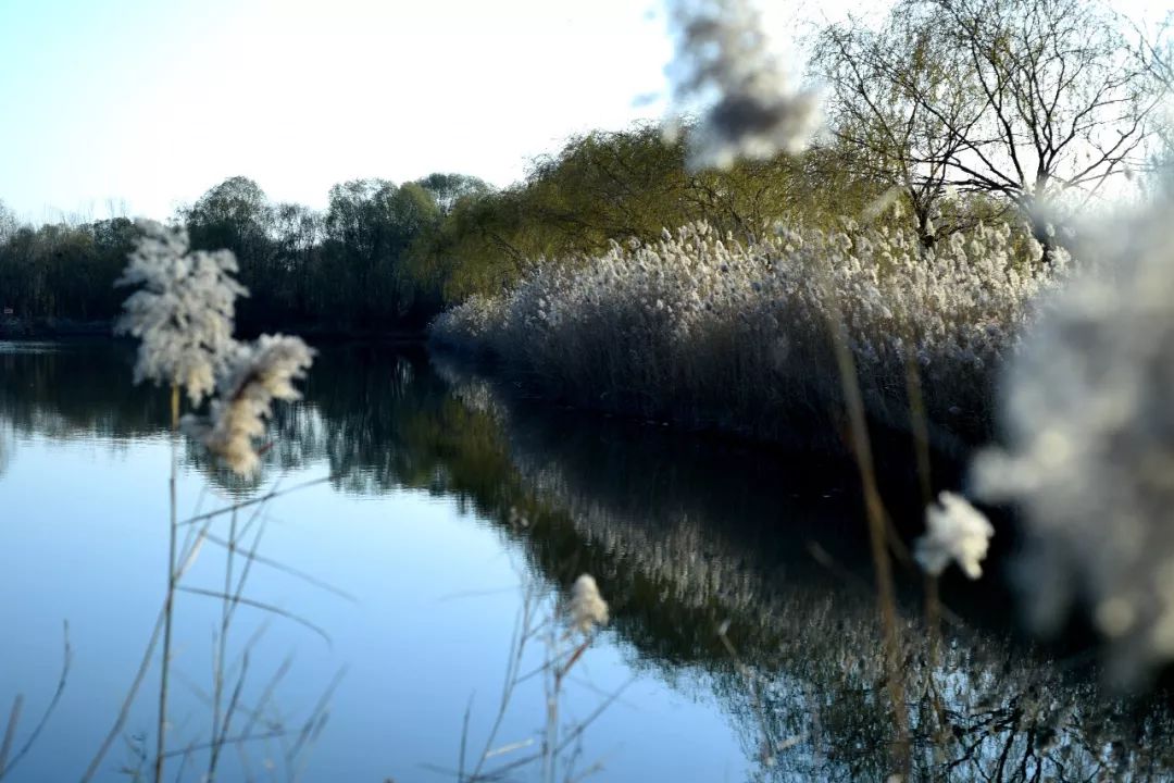 旅游攻略菏泽周边,旅游菏泽出发推荐2-3天游