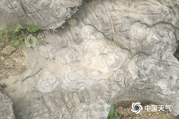 穿越五亿年,穿越45亿年的地球形成过程