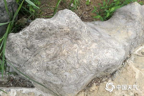 穿越五亿年,穿越45亿年的地球形成过程