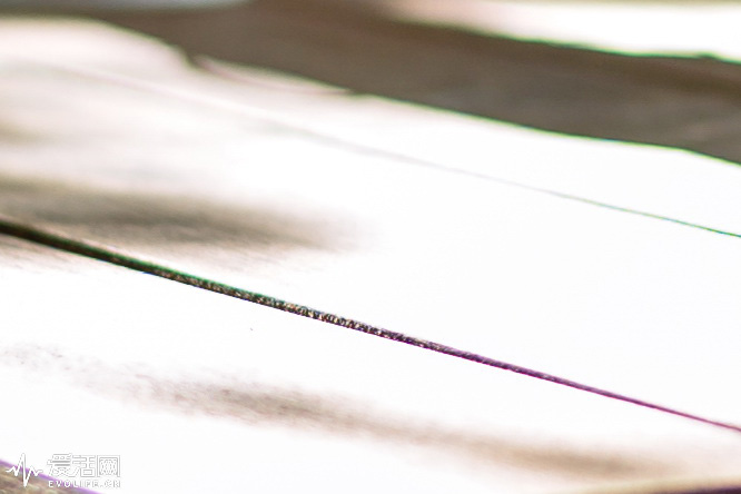 腾龙sp35mm1.4镜身是金属的,腾龙sp17-50mmf2.8镜头