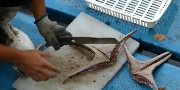 怎样吃海星,怎么吃海星不拉肚子