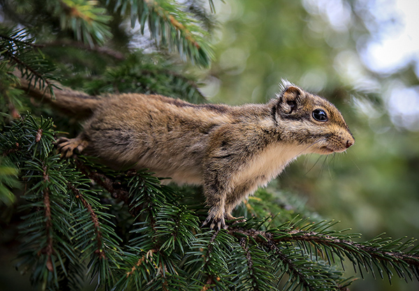 跟着镜头欣赏不一样的风景,跟着镜头领略震撼心灵的景色