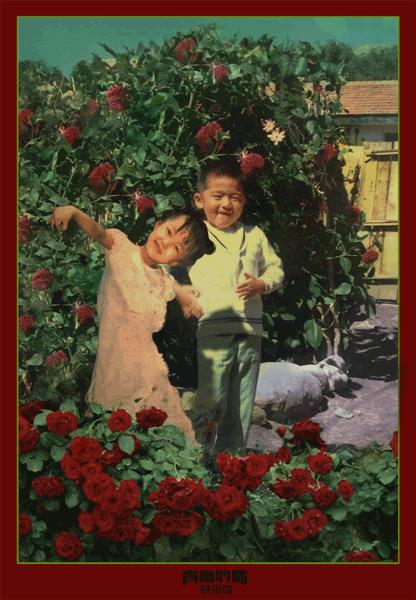 这150组情侣写完美诠释青梅竹马的爱情,网友直呼太可爱!