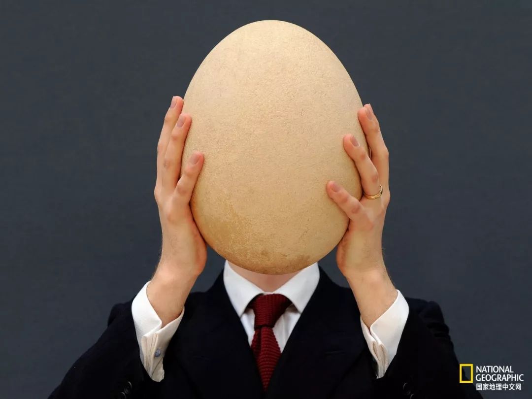 陨石恒久远官方账号,陨石恒久远的直播间