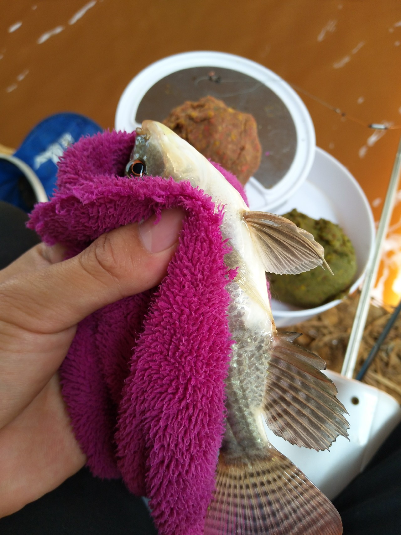 一不小心成坑冠，奈何狂拉还是败给网工...