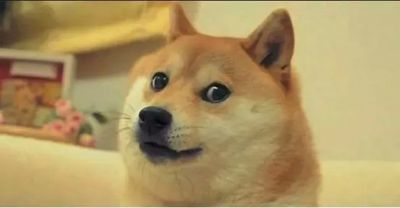 军人爱情故事,七夕军人情侣