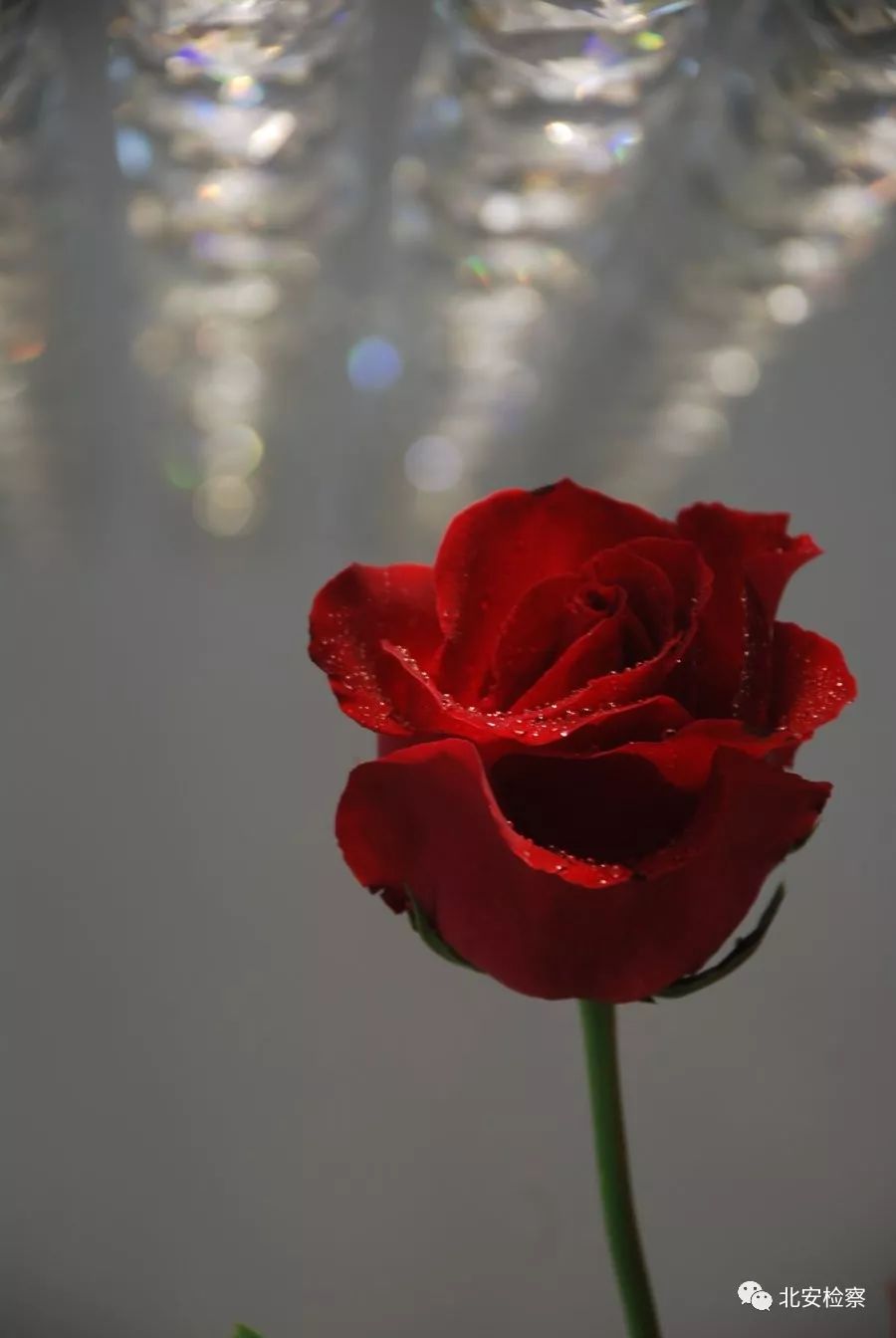 七夕特辑爱情故事,七夕特辑陪伴是最长情的告白