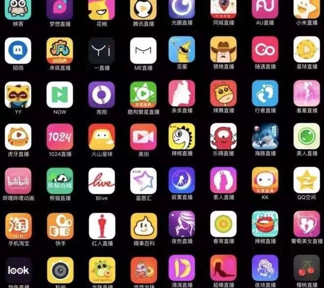 网红变现三途径,抖音变现四大网红