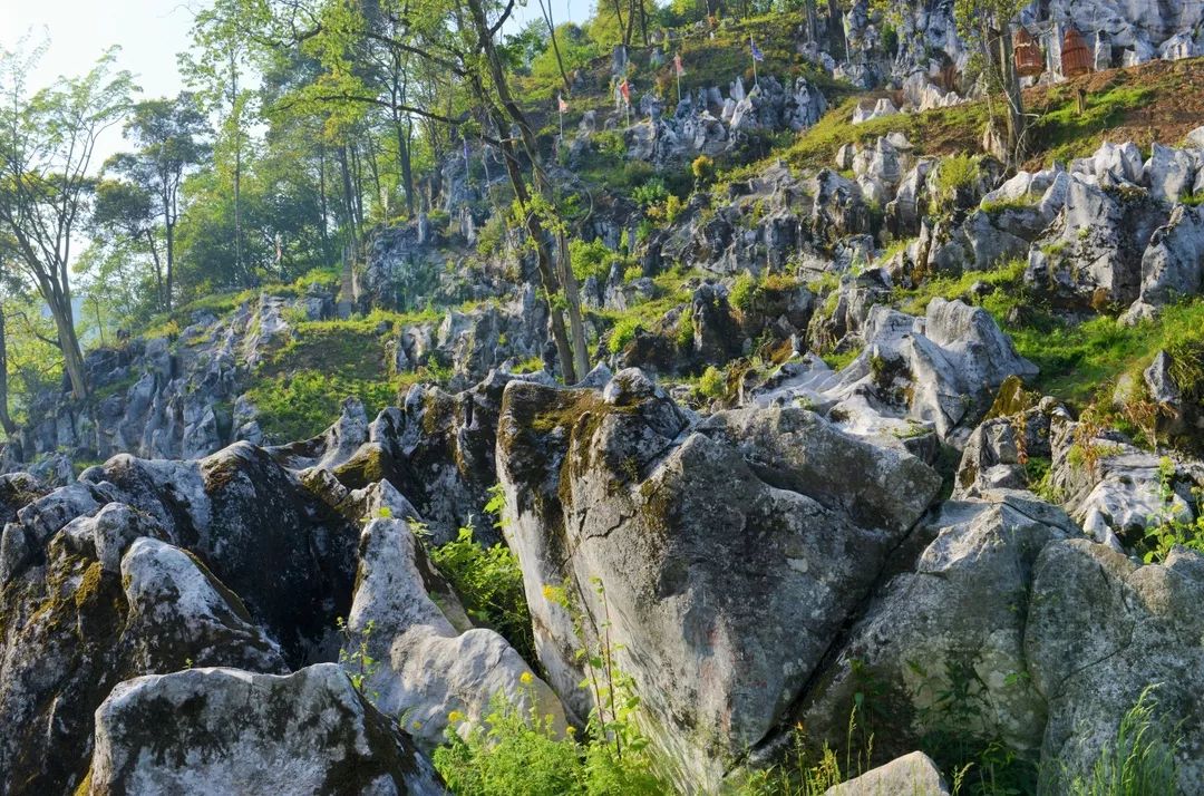 这里好好耍~周末到药王谷玩大人的摇摇船、玻璃水滑道、高空情侣桥、爱的丛林飞越……