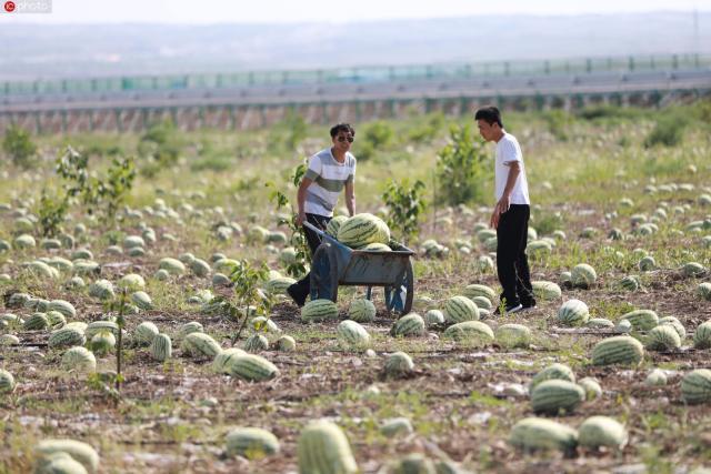 瀹佸瑗跨摐浠婂勾鐘跺喌,鐢樿們瑗跨摐婊為攢鐜扮姸