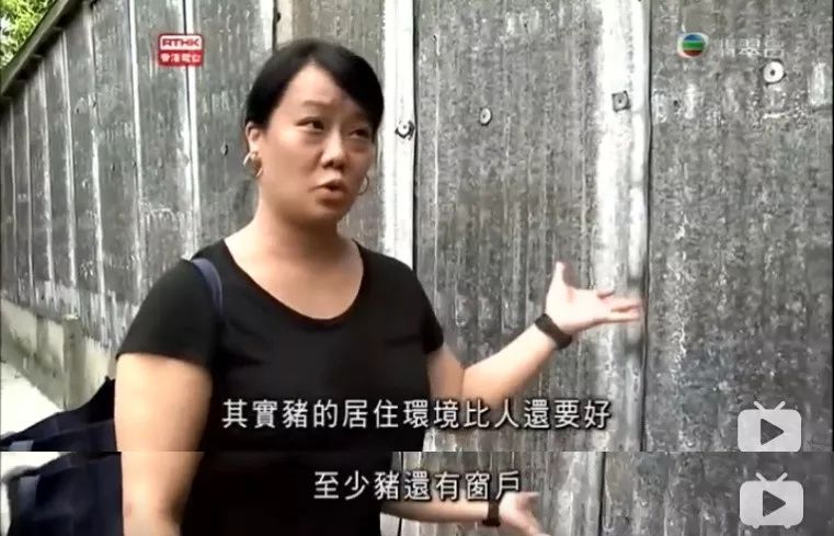 香港人都很拼吗,香港人有多拼啊