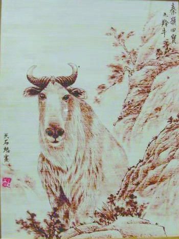 一群热爱艺术的学生,一群热爱艺术的人