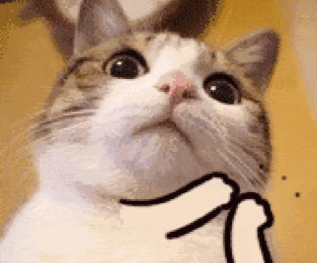 好物氨基酸洗面奶,好物推荐爆款洗面奶