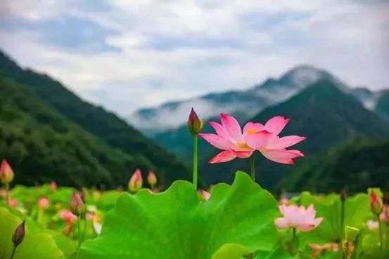 洛阳10个好消息,洛阳有什么好消息