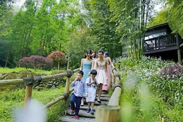 成都出发高铁8小时内目的地,成都出发高铁直达的旅游景点