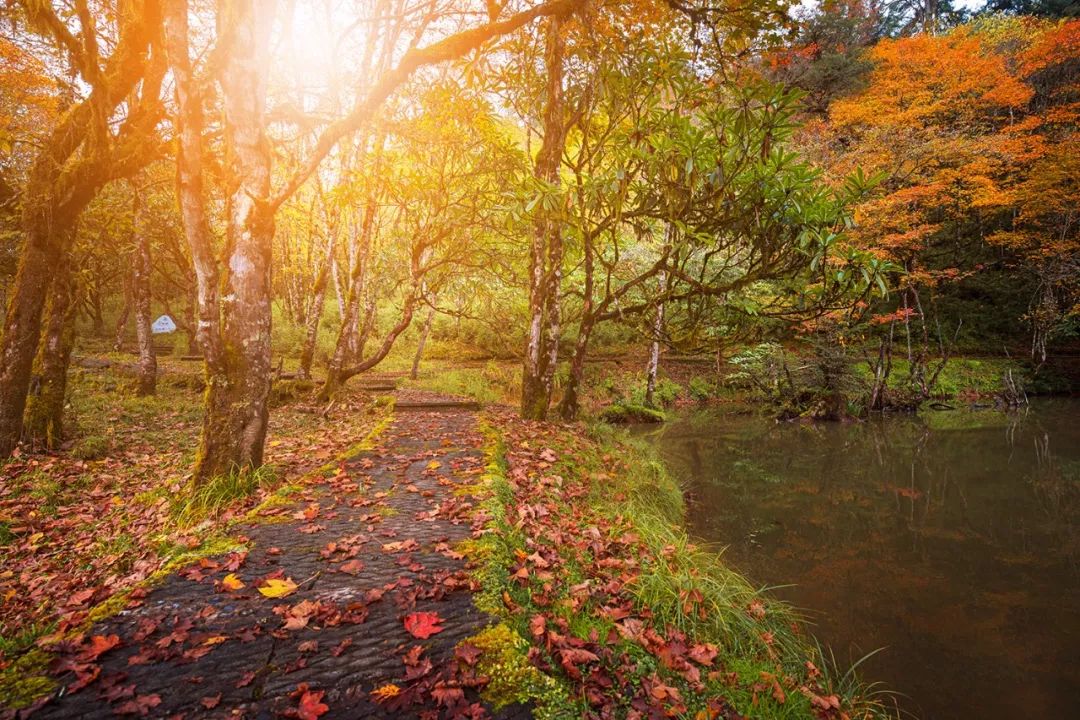成都出发高铁8小时内目的地,成都出发高铁直达的旅游景点