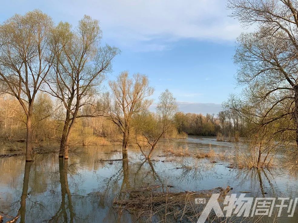 草原核爆炸自己会掉血吗,原神草原核爆炸伤害
