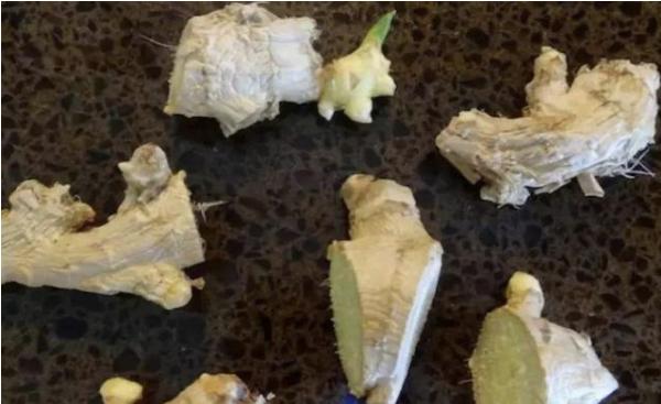 张大妈盆栽生姜，每隔30天摘一茬，吃3个月