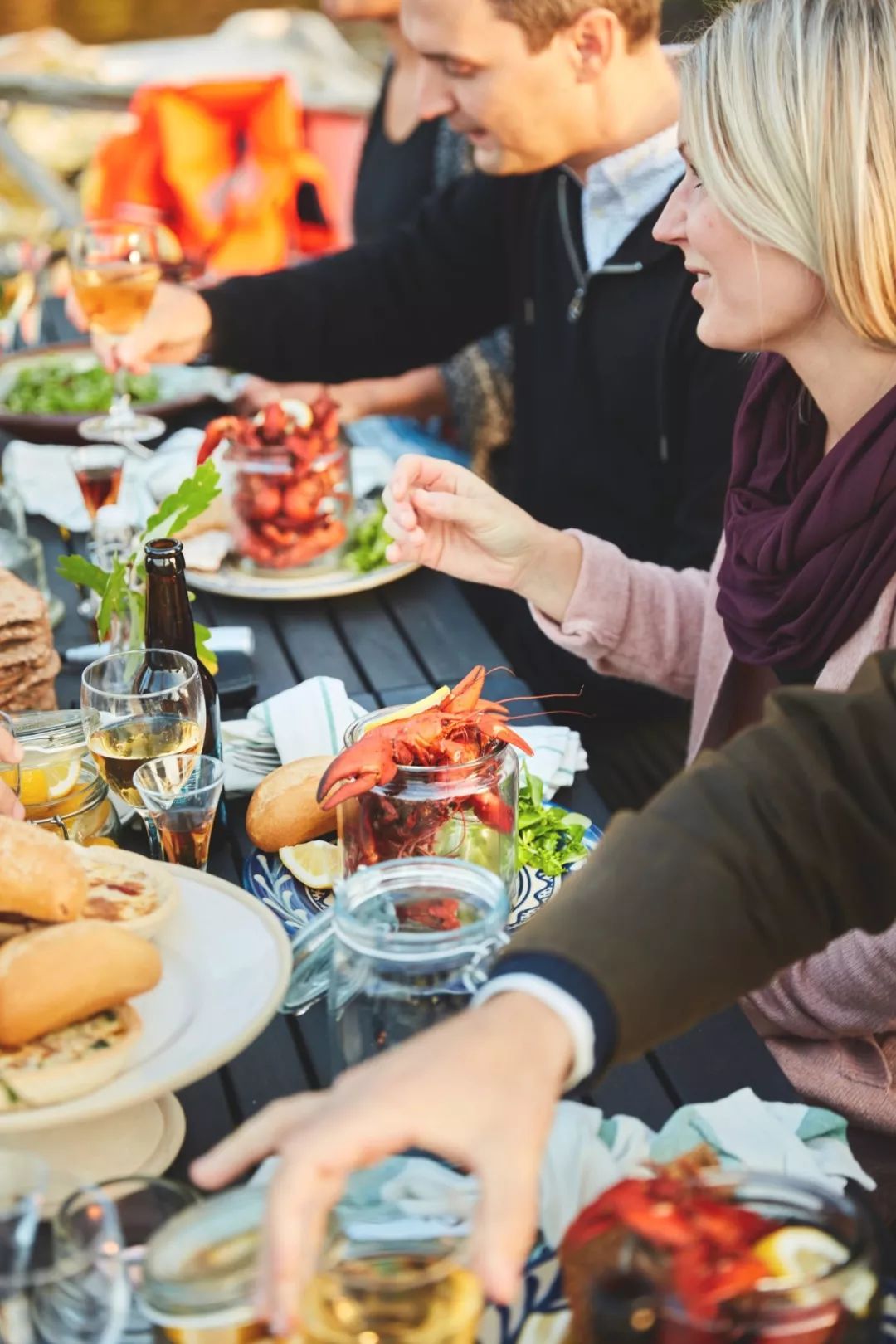 讲述瑞典人的纪录片,北极纪录片瑞典