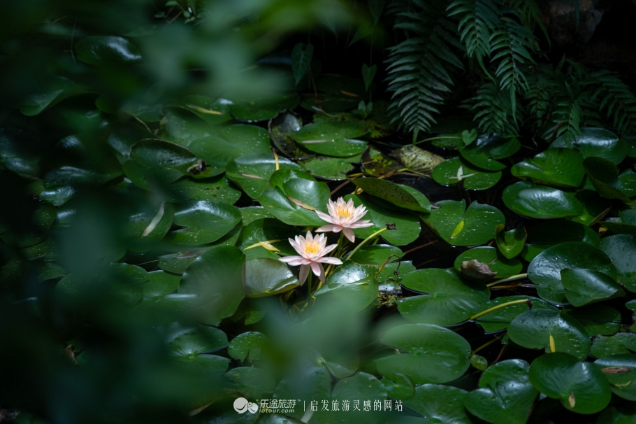 黄果树瀑布群，那些激荡在山谷里的回响