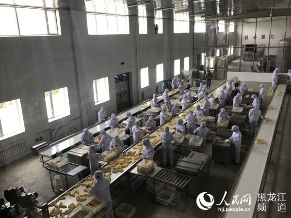 绥化玉米生物产业政策,黑龙江绥化产业园