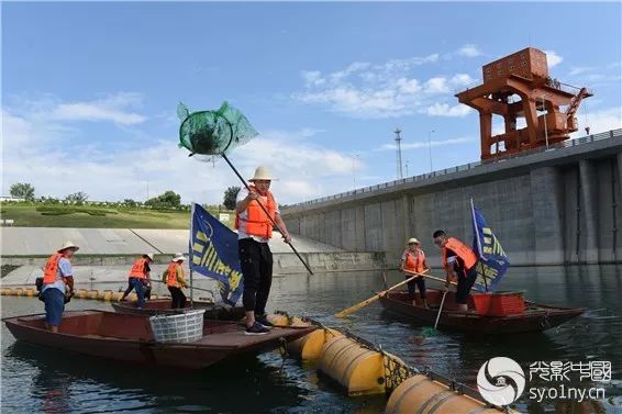 南阳有哪些山水风景区,南阳周边美景有哪些