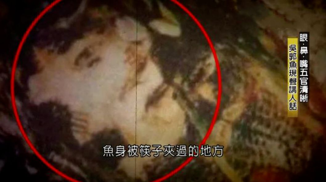 台湾灵异综艺节目有哪些,台湾灵异节目