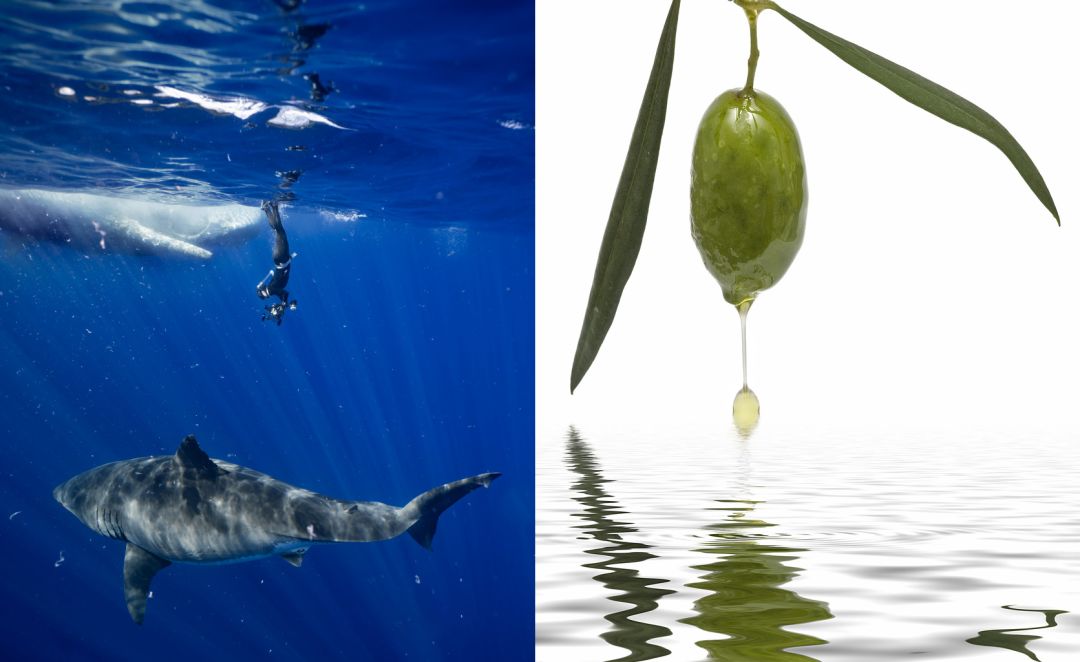 法令纹又黑又长,法令纹又深又长好吗