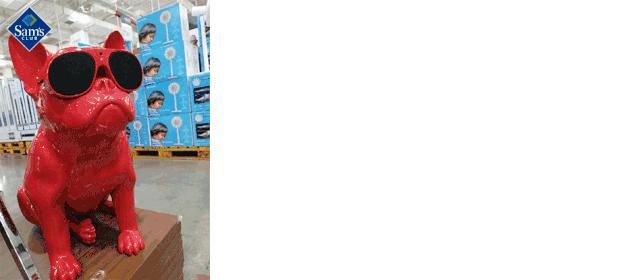 去处｜2W平米占地+免费吃到饱？魔都第二家山姆会员商店来了