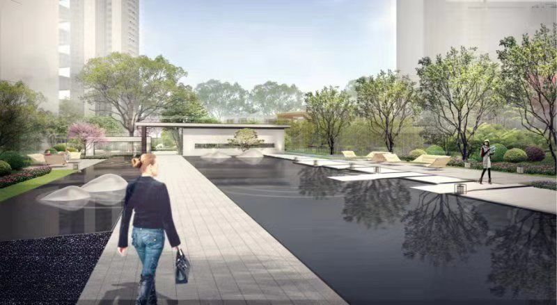 你为什么错过深圳湾,错过深圳