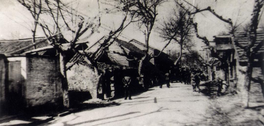 一匹马为何让这座城市的人们又悲又喜？|我家住在解放路