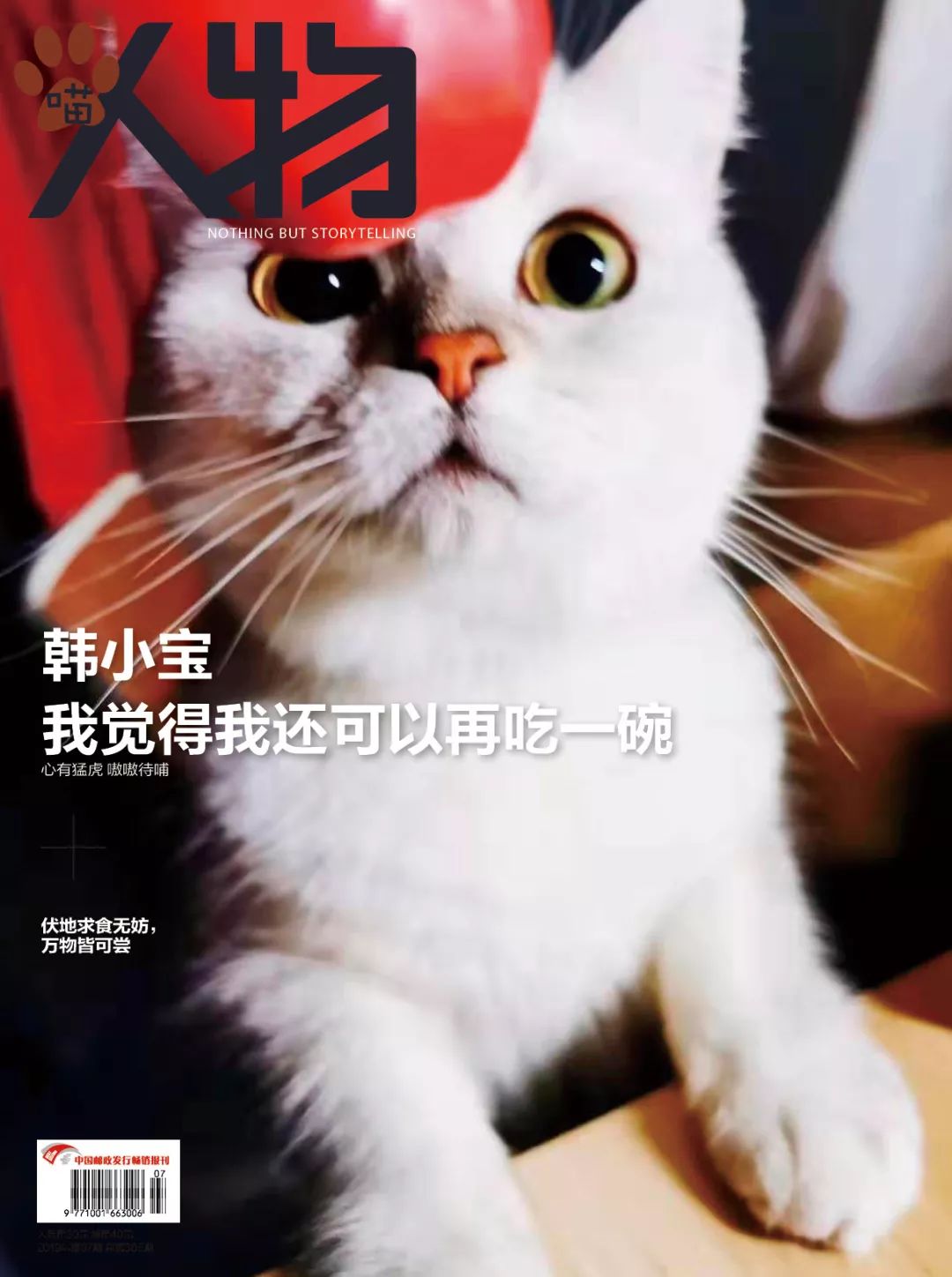 猫知道想主人吗,猫知道下雨下雪