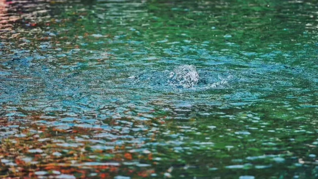 趵突泉真的超美,济南趵突泉是个很大的景点吗