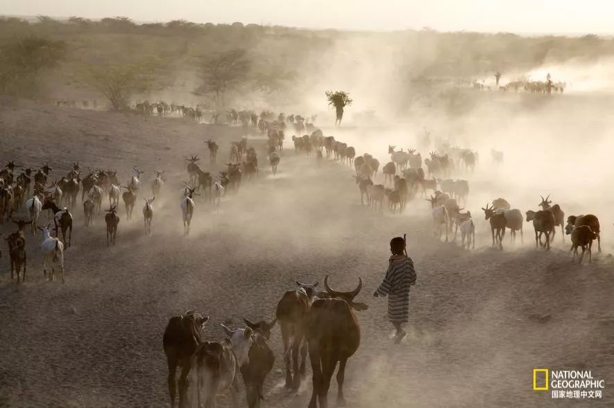 1/7地球人正在逃离家园