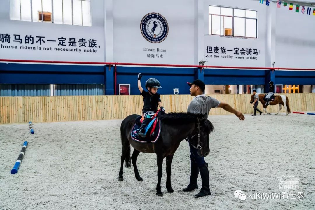 舟山威斯汀打卡攻略,舟山威斯汀和海上丝绸哪家好