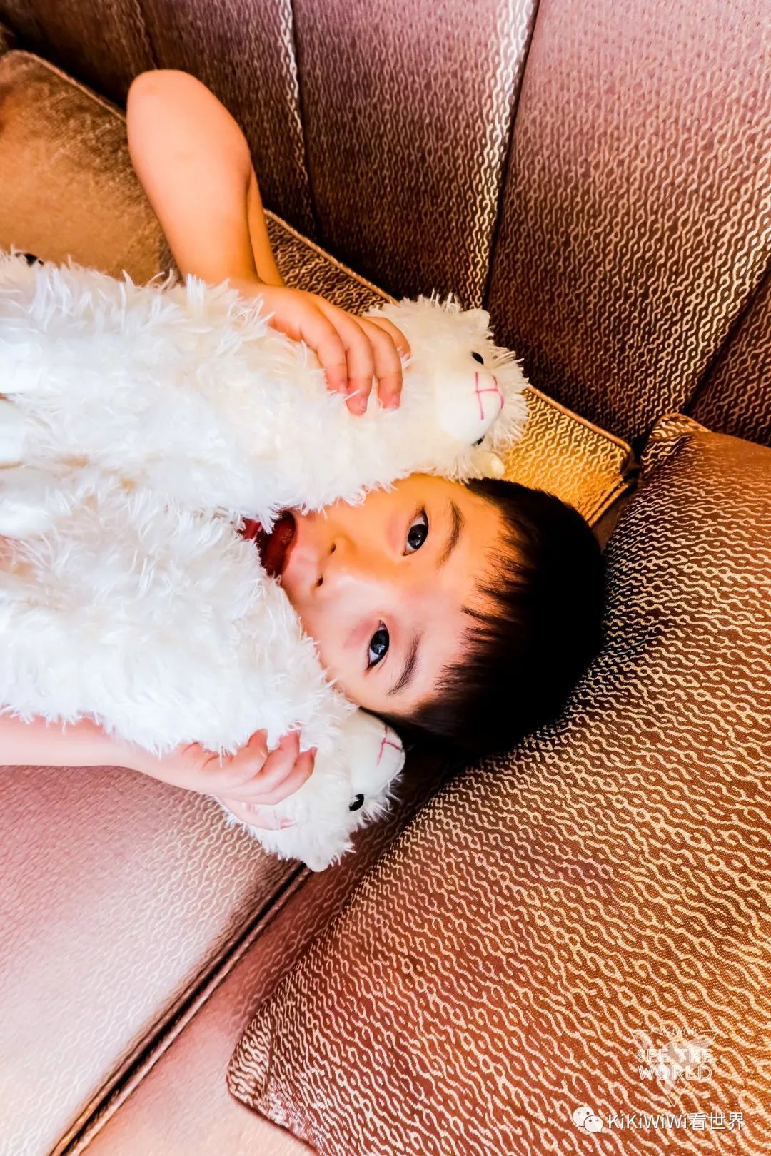 舟山威斯汀离普陀山远吗,舟山威斯汀对应的岛