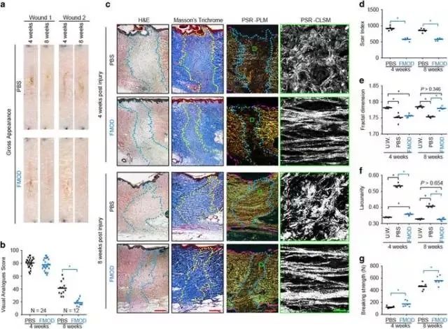 各大星座女生有什么特征,魅力爆棚的三大星座女生