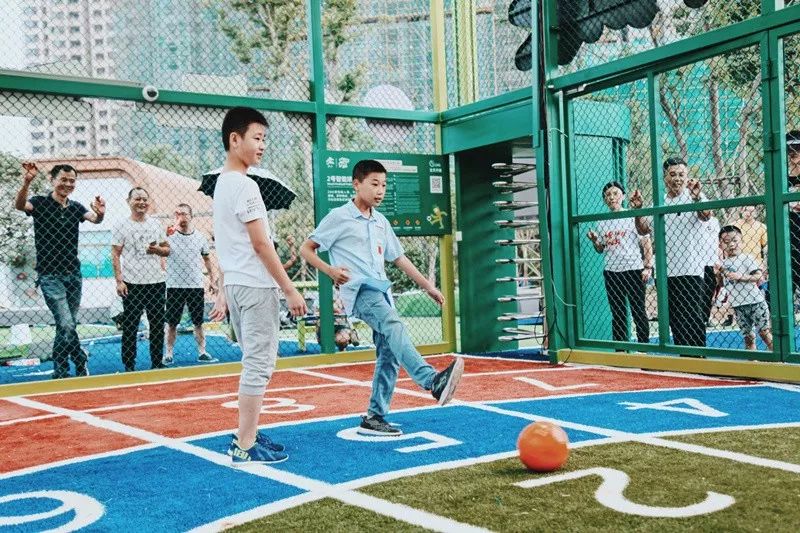 杨春湖社区足球场,洪山区武汉足球主题公园