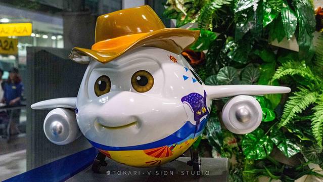 这一次，我去的不是“假”的泰国