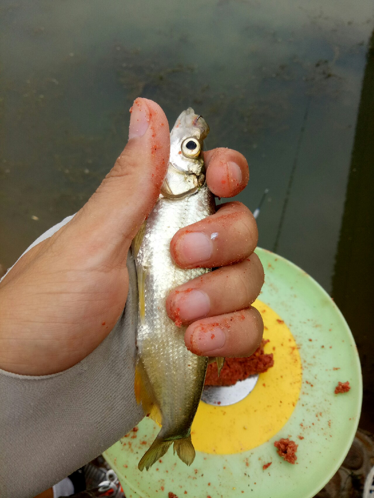 钓鱼人818攻略,钓鱼人开饵料