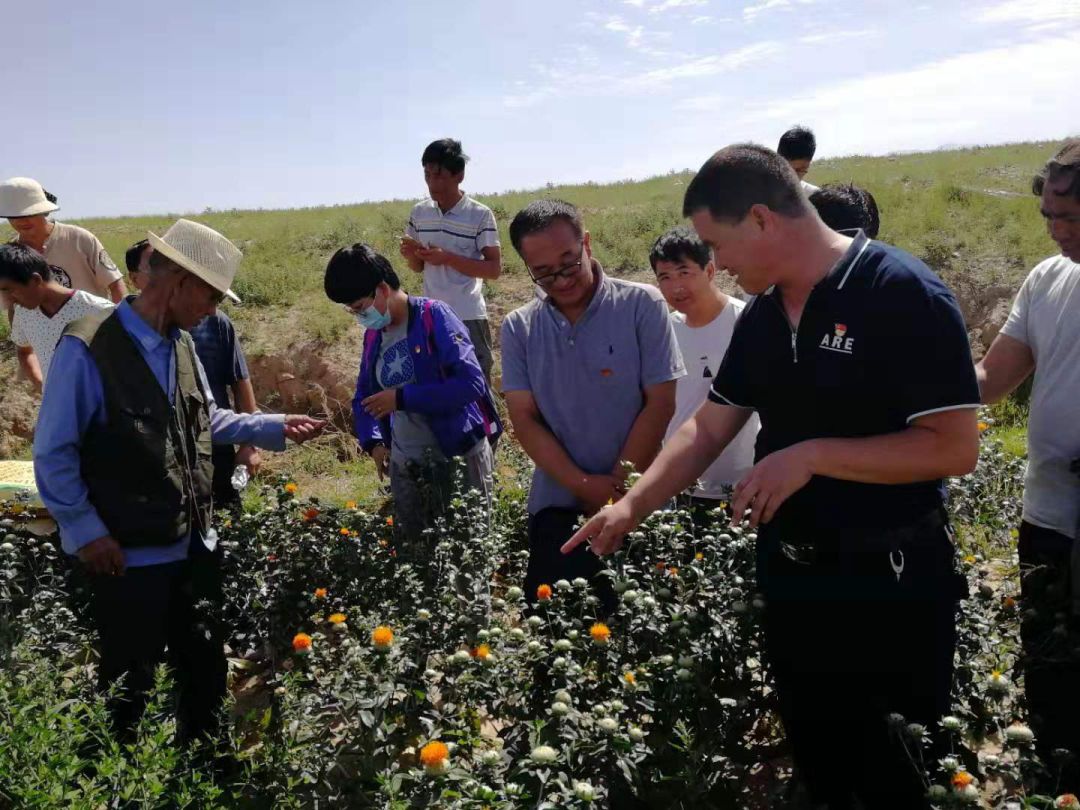 村干部如何进行乡村治理,领导干部在乡村治理中的问题