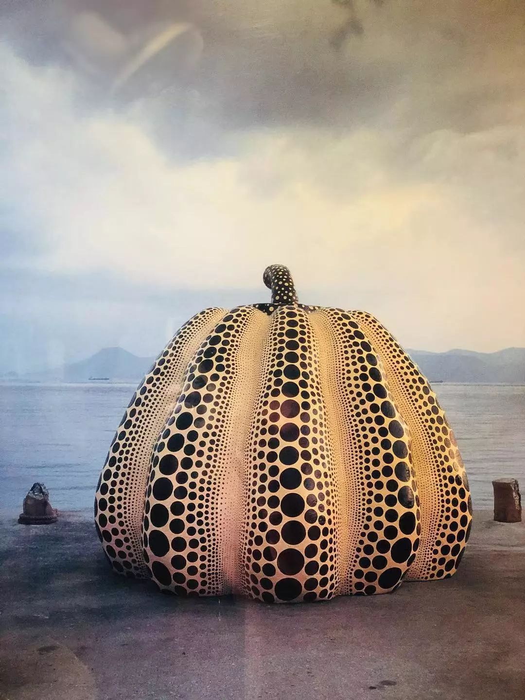 一枚熊孩子+三位高龄老人，携老扶幼的superhard模式，照样玩转日本自由行