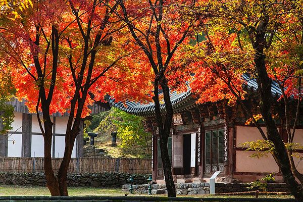 姹夌繑娓稿,姹夌繑鐮斿娲诲姩