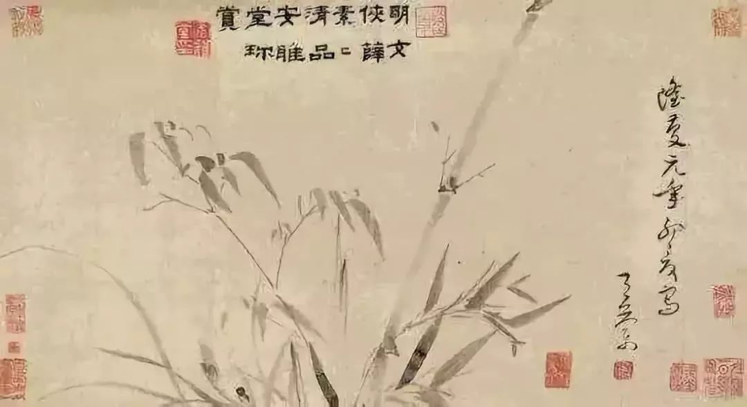 绝世美人的女星,真正的绝世美女都是雌雄莫辨