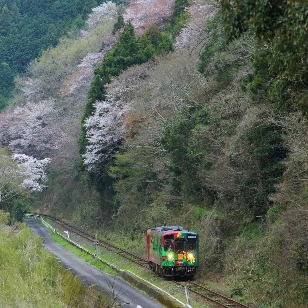 日本10条最好看电车线路,日本特急电车