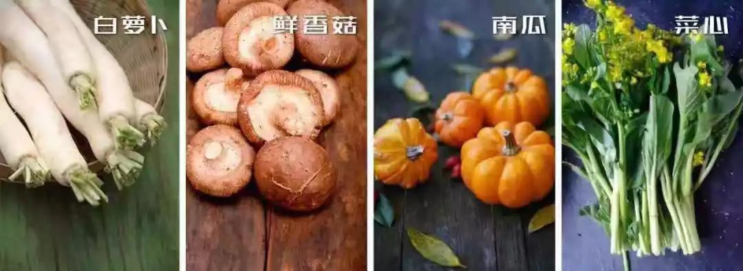 美食推荐新菜上新,四季新京菜推荐菜