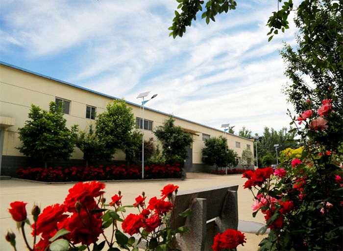 【城事】骄傲+1，河北日报专题报道鹿泉这个乡镇！