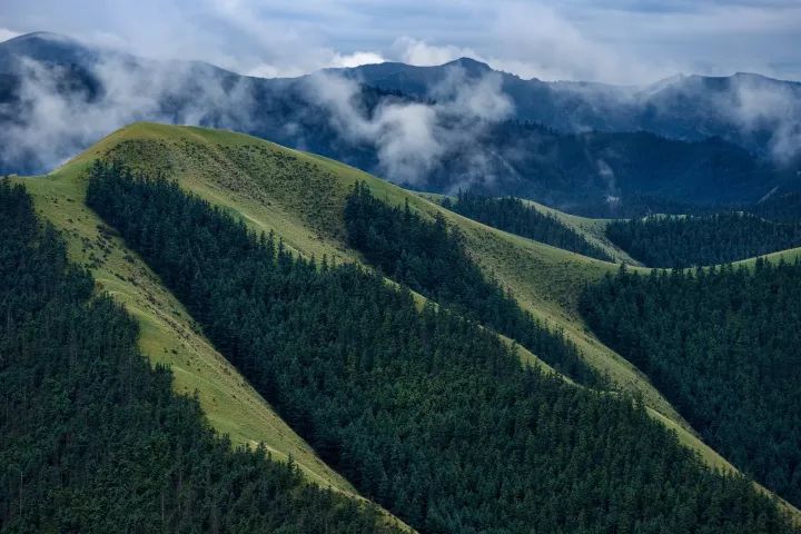 为什么叫甘肃,甘肃为什么叫河西走廊